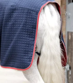 Horse Supplies Sale 33 Horse Supplies Sale -Horse Supplies Sale dry tech cooler rug navy 6 2 jpg