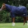 Saxon Defiant 600D Combo Neck Heavy Turnout Rug -Horse Supplies Sale e53bb27f58911a08322753a03da4adec 15 1 3
