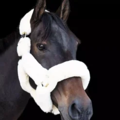 EcoRider Supreme Headcollar -Horse Supplies Sale eco052 2 2 jpg