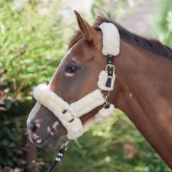 EcoRider Supreme Headcollar -Horse Supplies Sale eco052 3 2 jpg