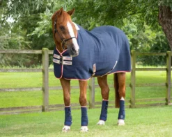Premier Equine PremTex Horse Cooler Rug -Horse Supplies Sale facebook premtex cooler navy 8 jpg