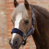 Premier Equine Fleece Padded Pony Head Collar -Horse Supplies Sale fleece padded pony head collar navy 2 jpg