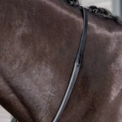 LeMieux Kris Extreme Rubber Reins 29 LeMieux Kris Extreme Rubber Reins -Horse Supplies Sale g0a7967 3 jpg