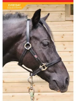 John Whitaker Breeder Headcollar 12 John Whitaker Breeder Headcollar -Horse Supplies Sale hc056 2 650x867 1 jpg