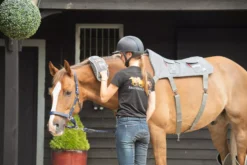 Equilibrium Hotspot Massage Combo