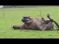 Equilibrium Equi-Chaps Hardy Chaps -Horse Supplies Sale hqdefault 2 10 4 jpg