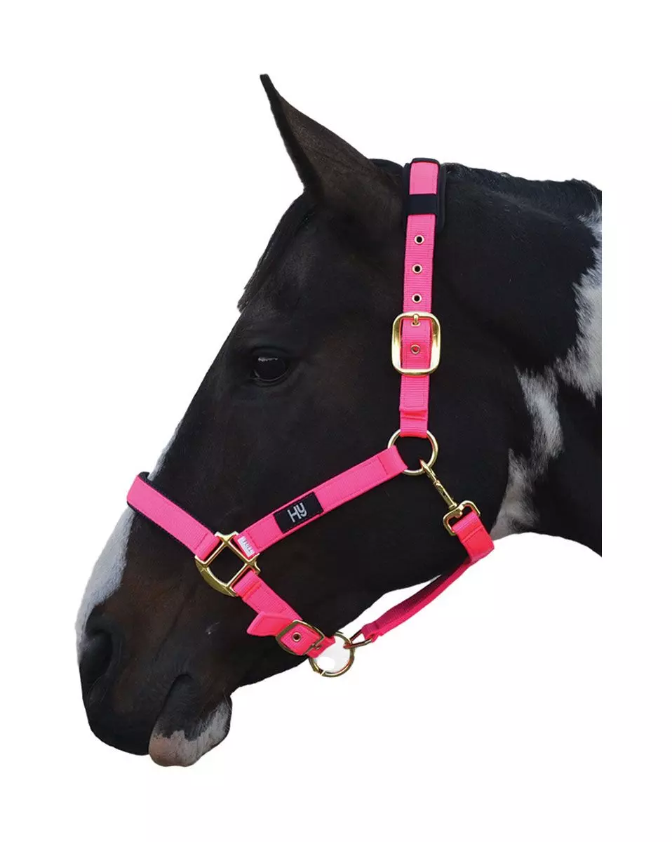 Hy Deluxe Padded Head Collar 16 Hy Deluxe Padded Head Collar - Image 14