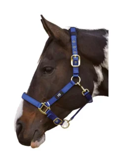 Hy Deluxe Padded Head Collar 25 Hy Deluxe Padded Head Collar -Horse Supplies Sale hy deluxe padded head collar navy 2 jpg