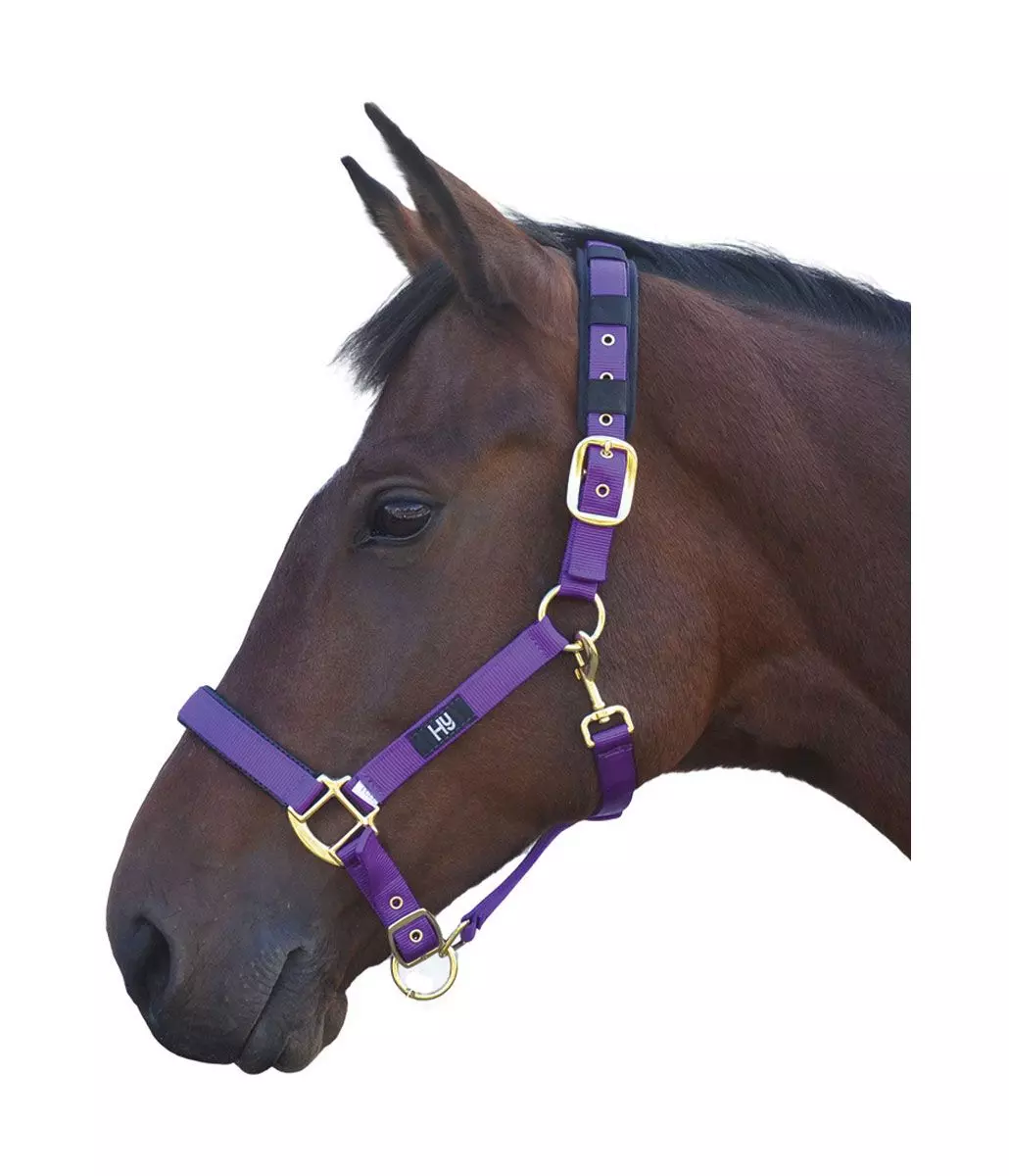 Hy Deluxe Padded Head Collar 3 Hy Deluxe Padded Head Collar