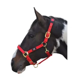 Hy Deluxe Padded Head Collar 30 Hy Deluxe Padded Head Collar -Horse Supplies Sale hy deluxe padded head collar red jpg