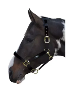 Hy Deluxe Padded Head Collar 33 Hy Deluxe Padded Head Collar -Horse Supplies Sale hy deluxe padded headcollar black 1 jpg