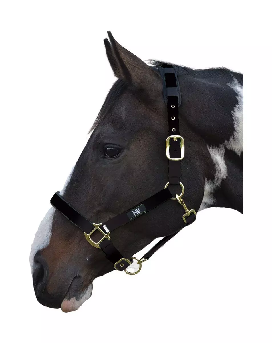 Hy Deluxe Padded Head Collar 14 Hy Deluxe Padded Head Collar - Image 12