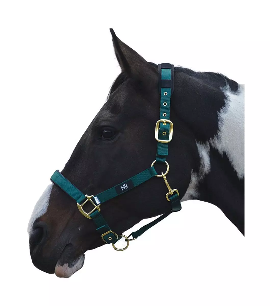 Hy Deluxe Padded Head Collar 15 Hy Deluxe Padded Head Collar - Image 13