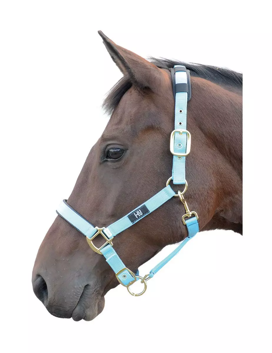 Hy Deluxe Padded Head Collar 4 Hy Deluxe Padded Head Collar - Image 2