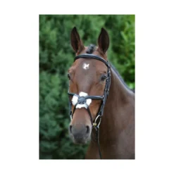 Hy Mexican Bridle With Rubber Grip Reins 39 Hy Mexican Bridle With Rubber Grip Reins -Horse Supplies Sale hy mexican bridle with rubber grip reins 02 1 2 jpg