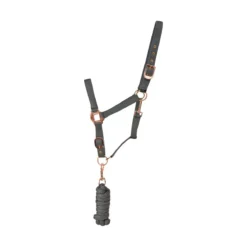 Hy Rose Gold Headcollar & Leadrope 18 Hy Rose Gold Headcollar & Leadrope -Horse Supplies Sale hy rose gold headcollar and lead rope grey 1 jpg