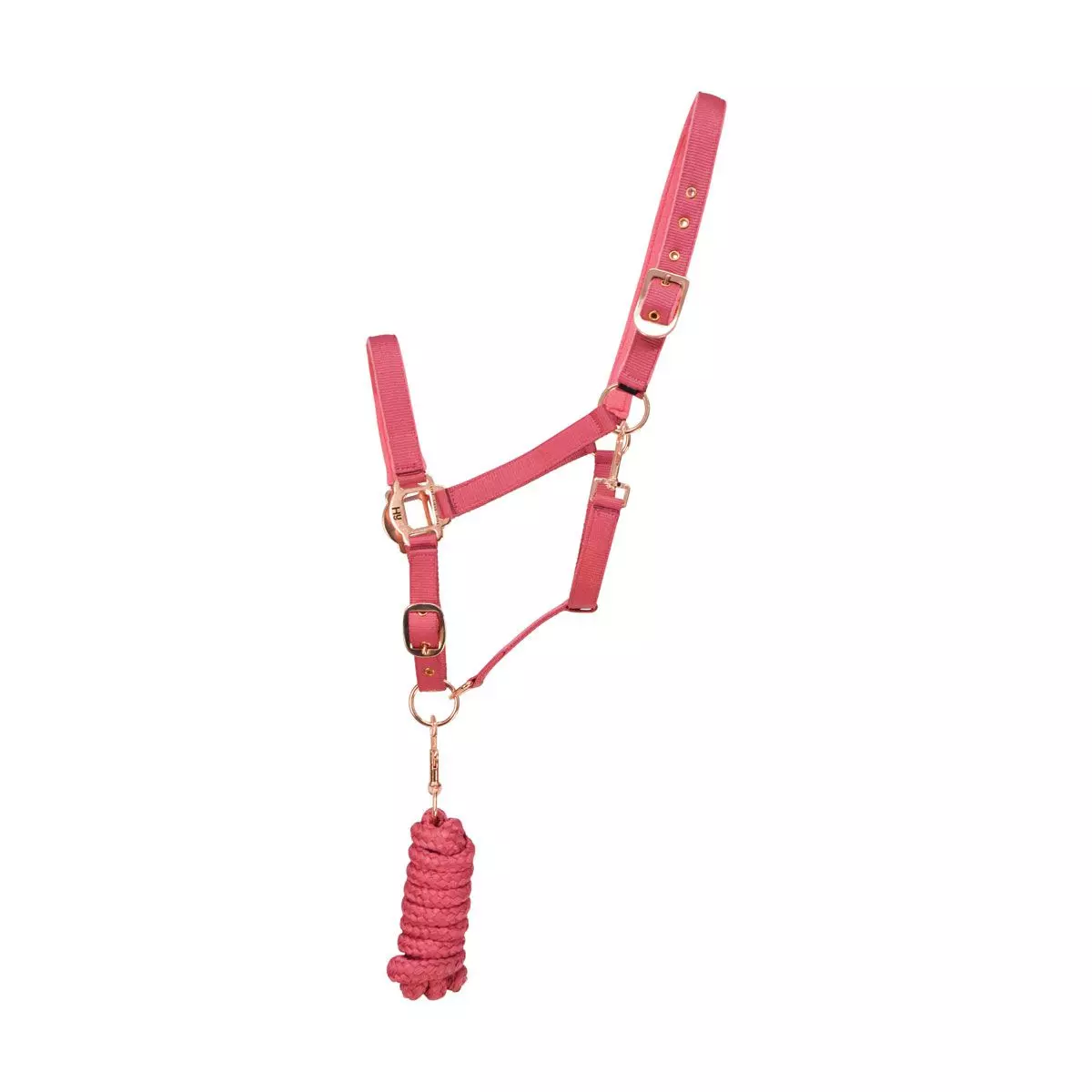 Hy Rose Gold Headcollar & Leadrope 7 Hy Rose Gold Headcollar & Leadrope - Image 5