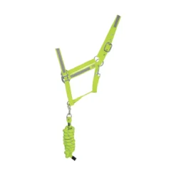 HyVIZ Reflector Head Collar And Lead Rope