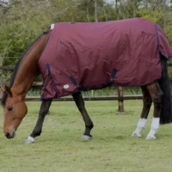 JHL Essential Turnout Rug Mediumweight -Horse Supplies Sale jhl essential turnout rug mediumweight burgundy 1 6 jpg
