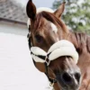 Kentucky Horsewear Nylon Sheepskin Halter Soft -Horse Supplies Sale nylon sheepskin halter soft 2 1 jpg