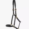 Premier Equine Padded Leather Head Collar -Horse Supplies Sale padded leather head collar black 2 2 jpg