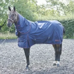 John Whitaker Rastrick 250g Combo Turnout Rug - Navy -Horse Supplies Sale r188 3 650x650 1 jpg