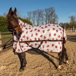 Horse Supplies Sale -Horse Supplies Sale r294 lady bird fly rugweb 600x600 1 7 jpg