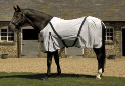 Horse Supplies Sale -Horse Supplies Sale rhinegold fly rug 671 8 jpg