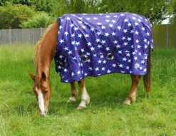 Rhinegold Star Design Torrent Lightweight Turnout Rug -Horse Supplies Sale rhinegold star lightweight turnout rug b 6 jpg