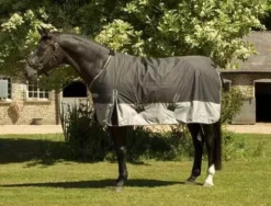 Rhinegold Thor Heavyweight Turnout Rug -Horse Supplies Sale rhinegold thor heavyweight turnout rug black grey 1 8 jpg