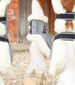 PREMIER EQUINE Premier Equne Techno Wool Fetlock Boots 36 PREMIER EQUINE Premier Equne Techno Wool Fetlock Boots -Horse Supplies Sale techno wool fetlock boot grey 2 1 jpg