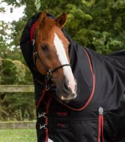 Premier Equine Titan 450g Turnout Rug With Snug-Fit Neck Cover -Horse Supplies Sale titan 450 turnout rug black 2 2 jpg