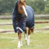 Premier Equine Titan 450g Turnout Rug With Snug-Fit Neck Cover -Horse Supplies Sale titan 450 turnout rug navy 1 5 jpg