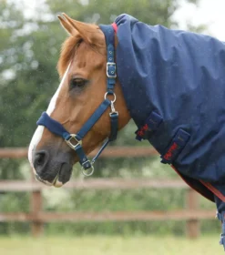 Premier Equine Titan 450g Turnout Rug With Snug-Fit Neck Cover -Horse Supplies Sale titan 450 turnout rug navy 3 9 jpg