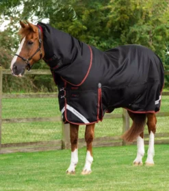 Premier Equine Titan 450g Turnout Rug With Snug-Fit Neck Cover -Horse Supplies Sale titan 450g heavyweight turnout rug black 1 5 jpg