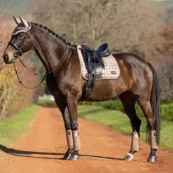 LeMieux Rhone Dressage Square -Horse Supplies Sale tracyrobertson rhone2021 017 1 jpg