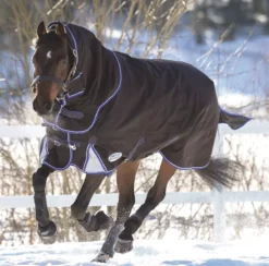 WeatherBeeta Comfitec Ultra Cozi Detach-A-Neck Medium/Lite Turnout Rug 19 WeatherBeeta Comfitec Ultra Cozi Detach-A-Neck Medium/Lite Turnout Rug -Horse Supplies Sale ultra cozi snow4 1 7 jpg