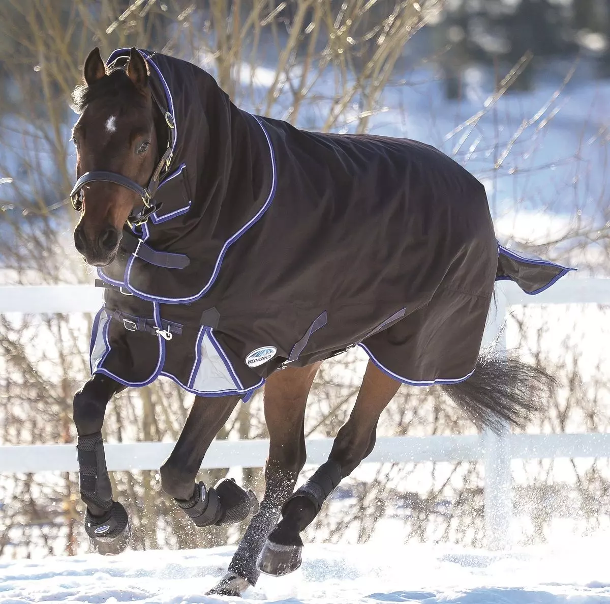 WeatherBeeta Comfitec Ultra Cozi Detach-A-Neck Medium/Lite Turnout Rug 6 WeatherBeeta Comfitec Ultra Cozi Detach-A-Neck Medium/Lite Turnout Rug - Image 4