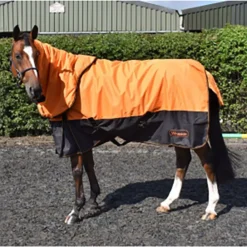 John Whitaker Lutton Turnout Rug Combo 170g Orange -Horse Supplies Sale wht0352 1 2 jpg