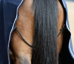 Weatherbeeta Wool Show Sheet With Chest Panel Standard Neck 33 Weatherbeeta Wool Show Sheet With Chest Panel Standard Neck -Horse Supplies Sale wool4 6