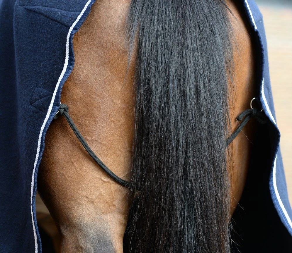 Weatherbeeta Wool Show Sheet With Chest Panel Standard Neck 14 Weatherbeeta Wool Show Sheet With Chest Panel Standard Neck - Image 12